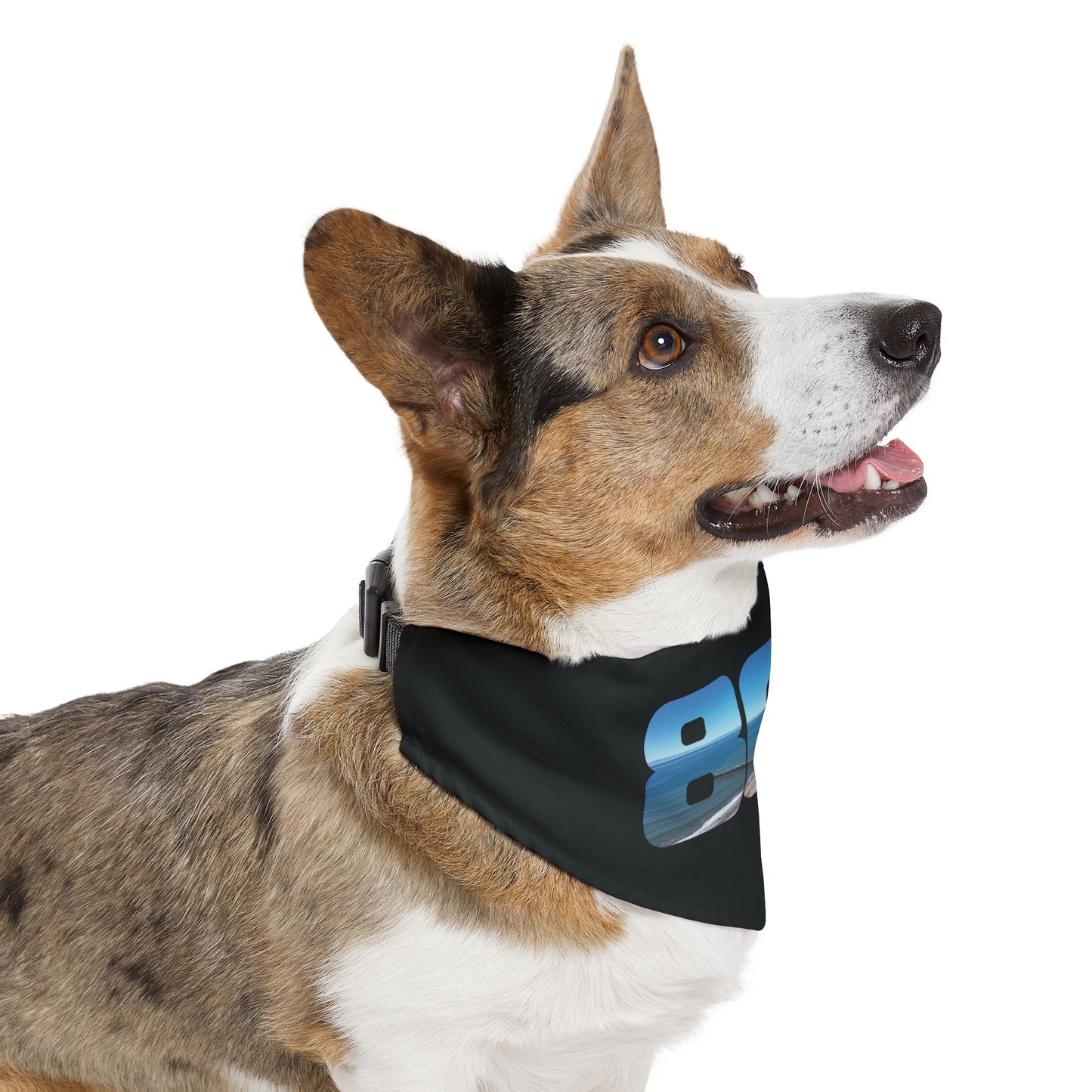 805 Blue Skies Pet Bandana Collar